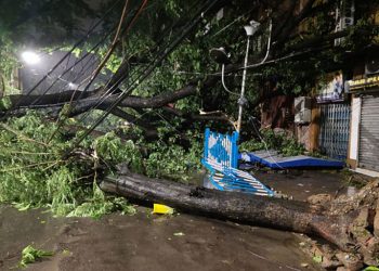 سامونڊي طوفان اَمفان ڀارت ۽ بنگلاديش ۾ تباهي مچائي ڇڏي