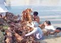 هالا ويجهو نيو سعيد آباد ريگيوليٽر جي تارا مائينر کي 50 فوٽ گهارو، فصل پاڻي