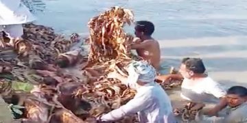 هالا ويجهو نيو سعيد آباد ريگيوليٽر جي تارا مائينر کي 50 فوٽ گهارو، فصل پاڻي