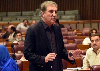 پ پ مان صوبائي تعصب جي بوءِ پئي اچي، ڪورونا خلاف جنگ ۾ سنڌ ڪارڊ نه هلندو: شاهه محمود قريشي