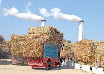 کنڊ اسڪينڊل جي فرانزڪ آڊٽ مڪمل، ٽيڪس جي مد ۾ اربين رپين جي فراڊ جو انڪشاف