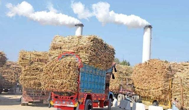 کنڊ اسڪينڊل جي فرانزڪ آڊٽ مڪمل، ٽيڪس جي مد ۾ اربين رپين جي فراڊ جو انڪشاف