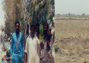 مبارڪپور جي موسي الله آباد شاخ ۾ پاڻي جي شديد کوٽ، پڇڙي جي آبادگارن جو مظاهرو، ڌرڻو