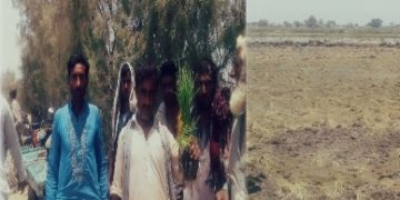 مبارڪپور جي موسي الله آباد شاخ ۾ پاڻي جي شديد کوٽ، پڇڙي جي آبادگارن جو مظاهرو، ڌرڻو