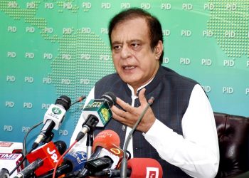 میرا کردار سیاسی، عاصم باجوہ کی اپنی مہارت ہے، ٹیم بن کر کھیلیں گے: شبلی فراز