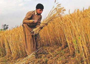 کورونا ریلیف کے تحت چھوٹے کاروبار، زرعی شعبے کیلئے 100 ارب کا پیکج منظور