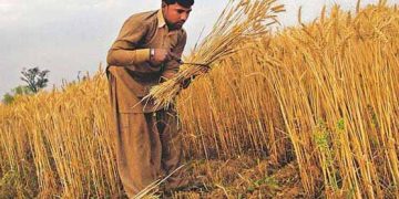 کورونا ریلیف کے تحت چھوٹے کاروبار، زرعی شعبے کیلئے 100 ارب کا پیکج منظور