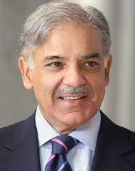 عمران صاحب آپ آلو ٹماٹر کی قیمت ٹھیک نہیں، ملک کا کباڑہ کرنے آئے تھے: شہباز