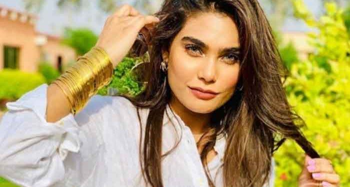 Supermodel Zara Abid was onboard PIA flight PK-8303