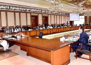 Federal Cabinet approves budget 2020-21