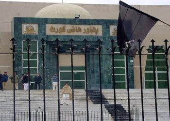 Petrol crisis: PHC summons petroleum minister on Thursday