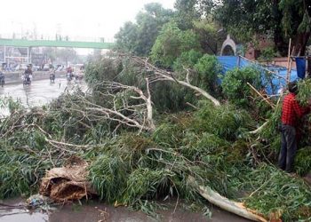 9 killed in Karachi as first spell of rain wreaks havoc in city