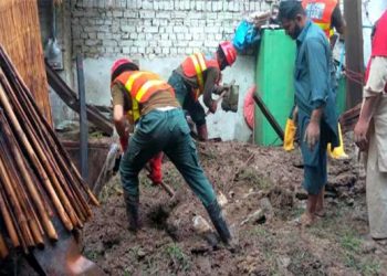 Seven killed in rain-related incidents across Punjab