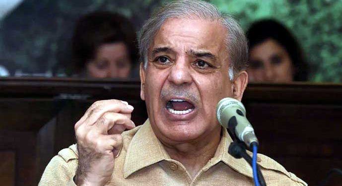 FM Qureshi’s statement about Saudi Arabia ‘highly unfortunate, irresponsible’: Shehbaz