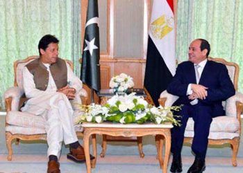 Muslim states must adopt joint strategy to safeguard rights: PM Imran