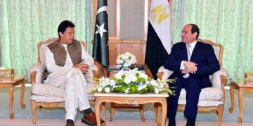 Muslim states must adopt joint strategy to safeguard rights: PM Imran