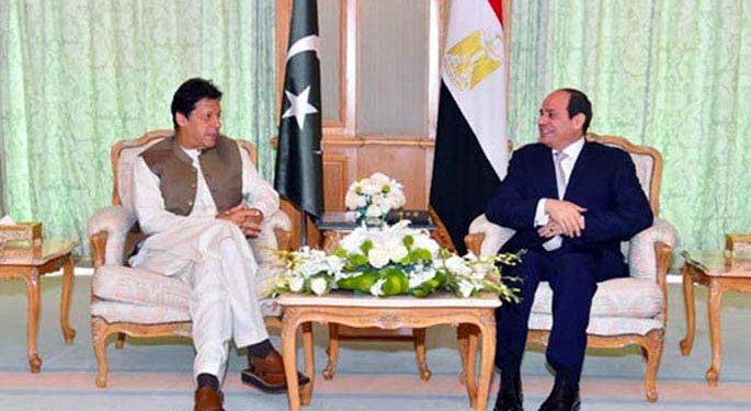 Muslim states must adopt joint strategy to safeguard rights: PM Imran