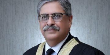 Looks like no one assisted PM Imran Khan properly over PECA ordinance: IHC