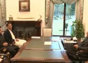 PML-Q will continue to PTI, Monis Elahi reassures PM Imran