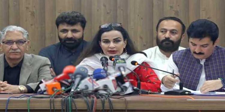 Elections within 90 days mandatory, asserts PPP